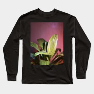 Green Leaves with Water Showers and Droplets Photography Long Sleeve T-Shirt